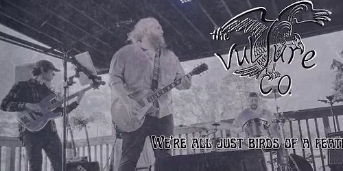 The Vulture Company
