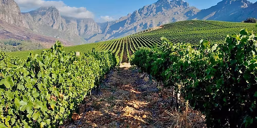 On Cloud Wine X Kaia Wine Bar: Sips of South Africa Wine Tasting