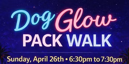 San Diego Dog Glow Pack Walk