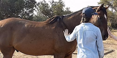 Private Couples Retreat at Horse + Bow: Reconnect & Reignite