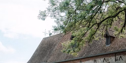 Visite guid\u00e9e : Site du ch\u00e2teau des comtes de Hainaut
