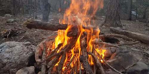 Wilderness Survival Basics