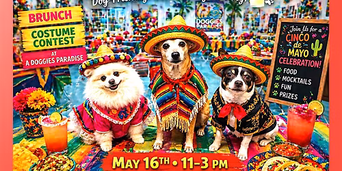 Cinco de Barko  | Dog-Friendly Fiesta Brunch, Costume Contest & Paw-ty