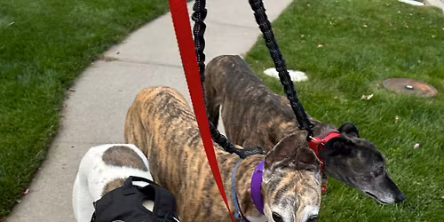 Wonderland Meet and Greet