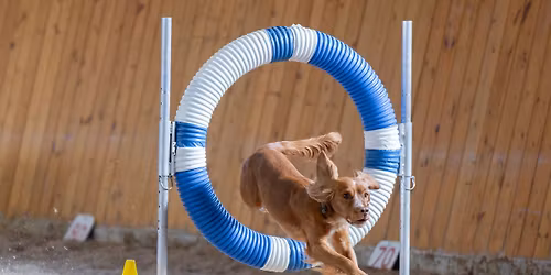 April 18-19 AAC Trial