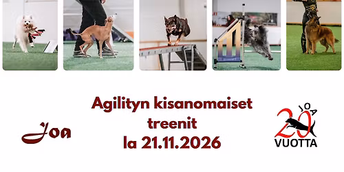 Agilityn kisanomaiset treenit