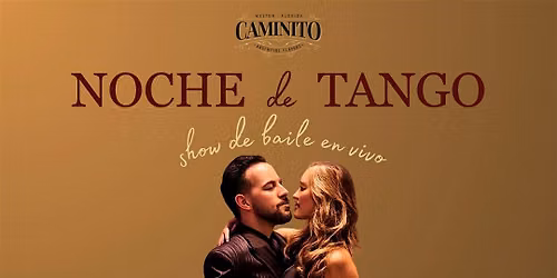 Tango Dancing Show - Noche de Tango