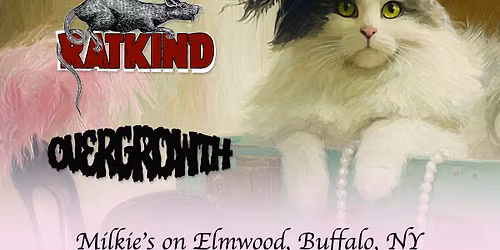 Sweet Pea & Friends (Sweet Pea Debut Show)