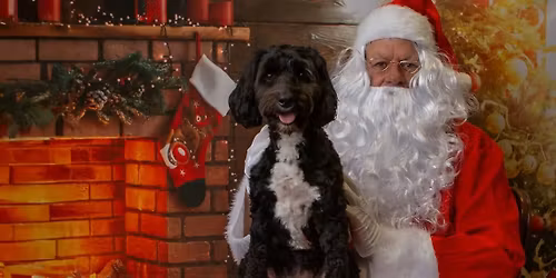 Bring your pooch to visit Santa Paws