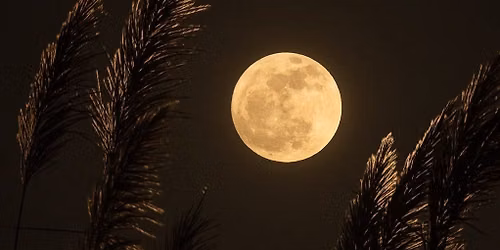 Volle Maan Wandeling + astrologische uitleg