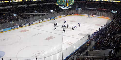 Soo Greyhounds at London Knights at Canada Life Place