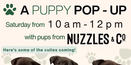Pup Pop Up at Distrikt F