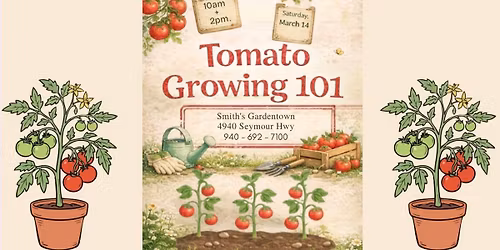 Tomato Growing 101