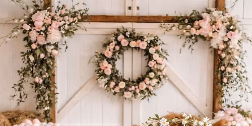 Highland Cow Photo Shoot