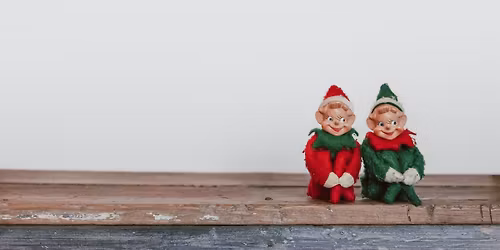 SEND Elf Academy: Adlington at No-ho-ho-ah's Ark