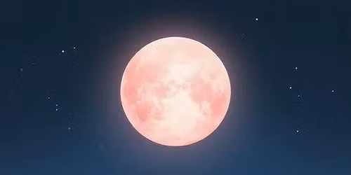 INK Under the PINK Moon - Weekend Tattoo Flash Sale (3 Day Event!)