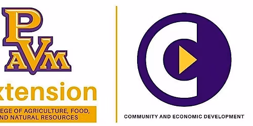 How to do a Business Plan