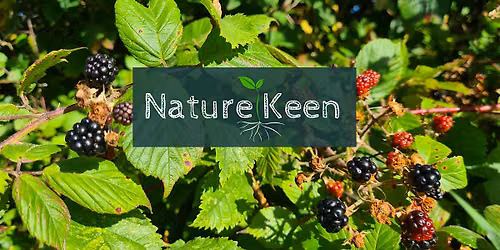 Embracing the Seasons: An introduction to the basics of foraging