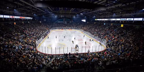 Stena Line Belfast Giants Play Off