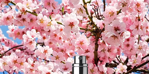 Create Your Cherry Blossom Perfume