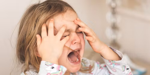 Anatomy of a Meltdown: Early Intervention Training Series