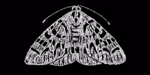 The Moth Birmingham StorySLAM: CHEAT