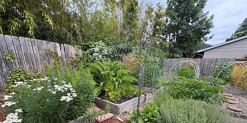 Homegrown Apothecary