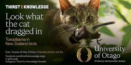 Thirst for Knowledge: Look what the cat dragged in - Toxoplasma in new Zealand birds