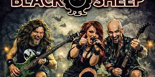 Black Sheep is BAAAACCCCK