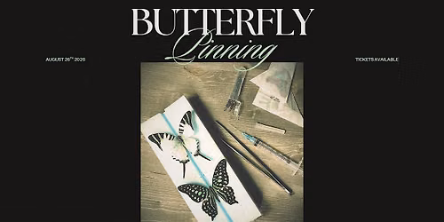 Butterfly Pinning Workshop