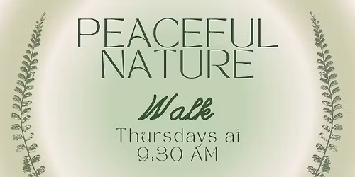 Peaceful Nature Walks at the Loxahatchee National Wildlife Refuge