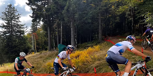 Constitution Park Trail Maintenance