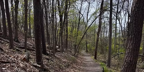 Constitution Park Trail Maintenance