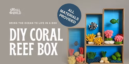 DIY Coral Reef Box