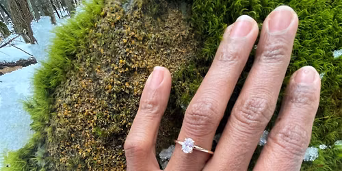 Wickham Park's Bridal Open House