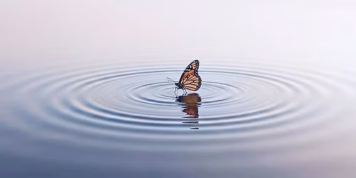 Mot\u00fdl\u00ed efekt, l\u00e1ska a osobn\u00ed rozvoj