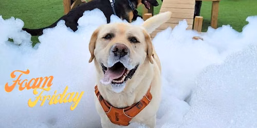Foam Party Fridays at The Dog Park