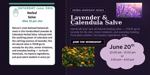 Herbal Salve Workshop