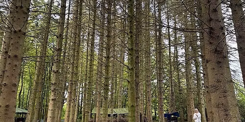 Summer Series - Outdoor Wellbeing Experiences. Yoga + Breath + Sound