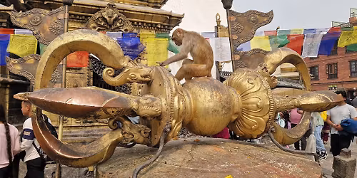 NEP\u00c1L pro ka\u017ed\u00e9ho