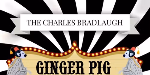 Ginger Pig Summer Party