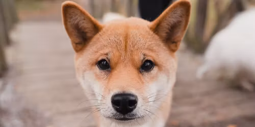 Musti Veldedighets Tur for Matsentralen Norge