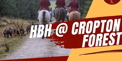 Highmoor Bloodhounds @ Cropton Forest