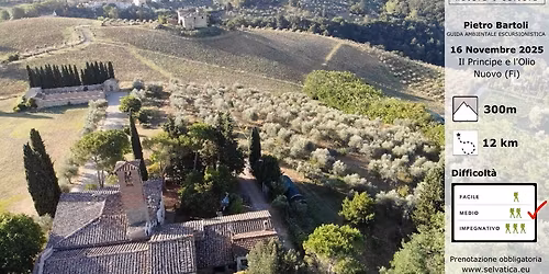 Il Principe e l\u2019Olio Nuovo (Fi)