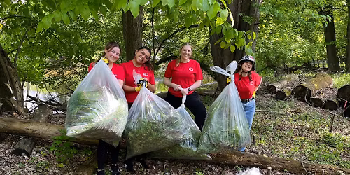 Stewardship Sunday - Garlic Mustard Pull