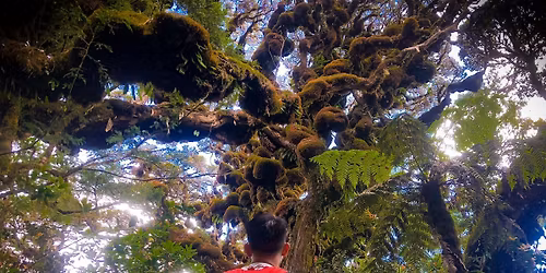 Pulag Circuit Endurance All Trail Edition Batch 2