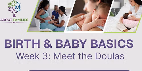 Meet the Doulas! 