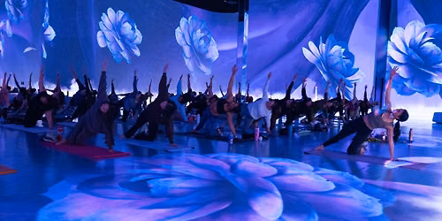 Last Immersive Yoga Sessions of the Season!