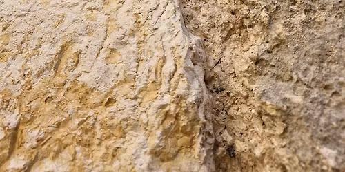 \u0412\u0430\u0445\u0448\u0442\u0430\u0439\u043d. \u041d\u043e\u0441\u0442\u0430\u043b\u044c\u0433\u0438\u044f \u043f\u043e \u043d\u0435\u043f\u0440\u043e\u0436\u0438\u0442\u043e\u043c\u0443: \u043a\u043e\u043b\u043b\u0435\u043a\u0442\u0438\u0432\u043d\u0430\u044f \u043f\u0430\u043c\u044f\u0442\u044c, \u043b\u0438\u0447\u043d\u044b\u0435 \u0438\u0441\u0442\u043e\u0440\u0438\u0438 \u0438 \u0441\u043e\u0446\u0438\u0430\u043b\u044c\u043d\u043e\u0435 \u0432\u0440\u0435\u043c\u044f.\u041e\u0444\u0444\u043b\u0430\u0439\u043d.