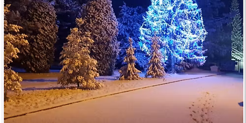 Rozsv\u00edcen\u00ed v\u00e1no\u010dn\u00edho stromku a Charitativn\u00ed jarmark 